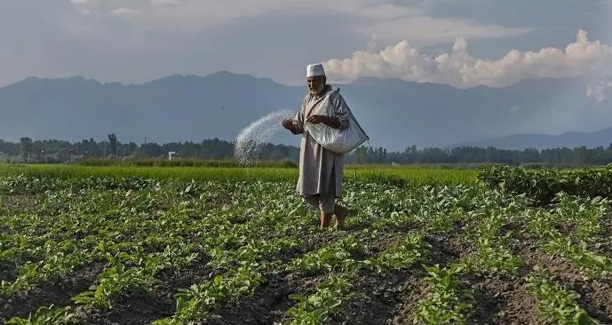 'Parvaz scheme: A market linkage support to boost J&K farmers economic conditions'
