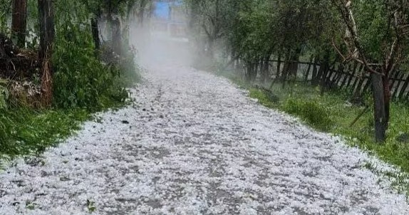 Hailstorm wreaks havoc on orchards, crops in J&K