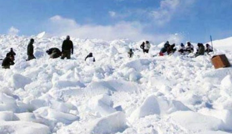 J&K: Five dead in avalanche at Sonmarg in Ganderbal district