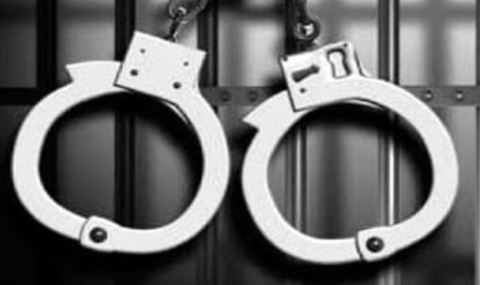 Four Hizb militant associates arrested in Kishtwar, arms and ammunition recovered: Police