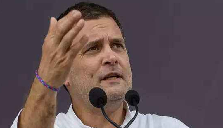Take care of yourself, Govt busy with sales: Rahul Gandhi's latest Covid dig