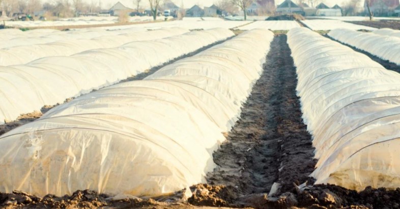 Agriculture Kashmir gets Rs 30.43 cr under CAPEX 2022-23: Principal Secretary