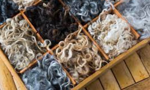 J&K, 2nd largest producer of wool in the country; produces approximately 70 lakh kgs of wool per annum