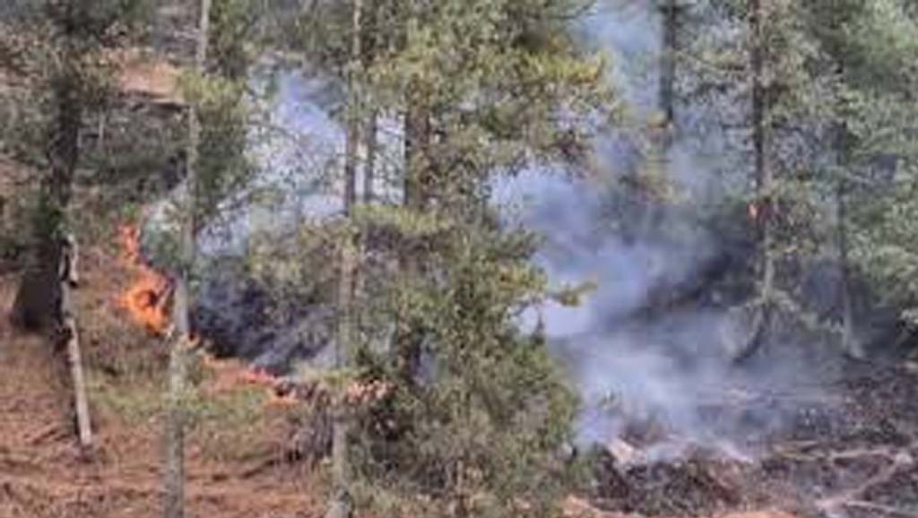 Dry weather conditions triggering forest fires in Bhaderwah