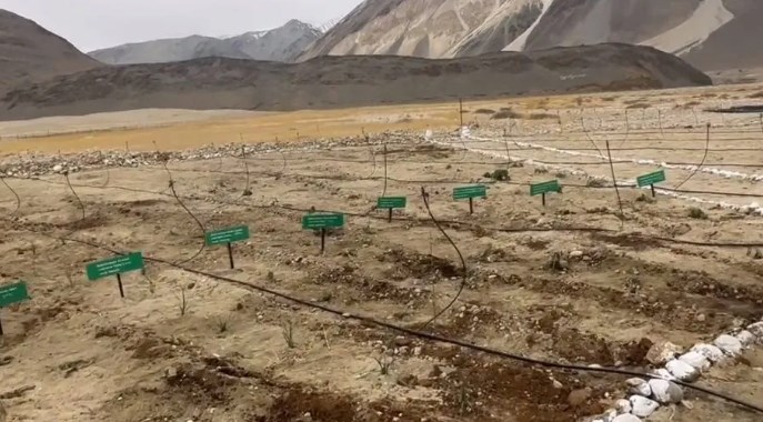 India's highest-located herbal garden comes up in Leh