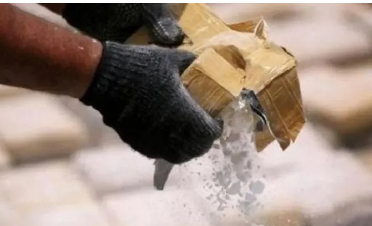 Over 300 kgs of seized drugs destroyed in J-K’s Samba