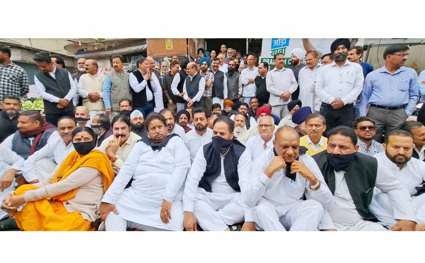 Rahul was voice of common man in Lok Sabha: JKPCC