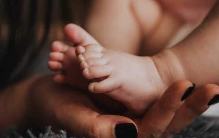 BJP using criminal elements to further its agenda: Mehbooba Mufti