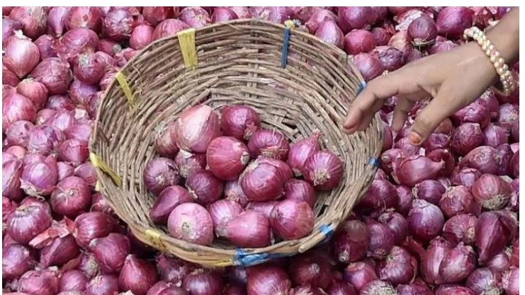 Govt allows onion export from January 1