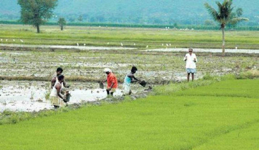 PM-KISAN Yojana: Over 2.69 lakh farmers yet to get 1st tranche of promised money