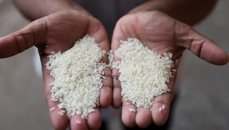 India bans export of broken rice with immediate effect