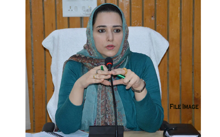 Establish RLM Haats at District level: Dr Sehrish to officers