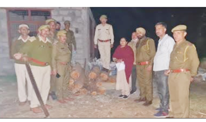 DFO Nowshera seizes 20 billets of Khair