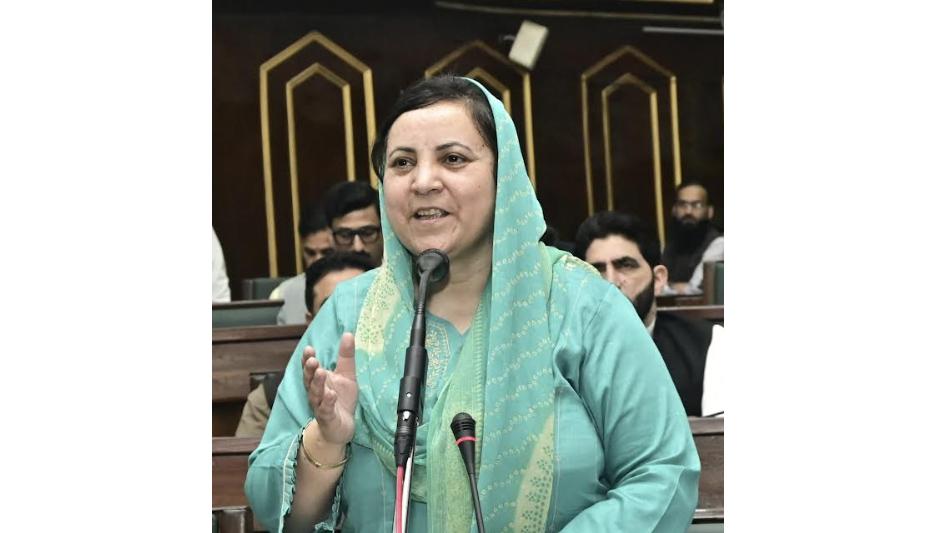 594 Lecturer posts in 27 disciplines referred to JKPSC: Sakeena Itoo