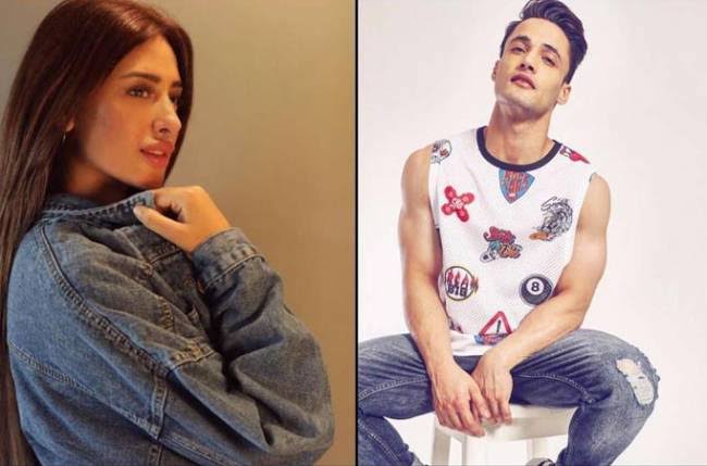 Bigg Boss’ stars Asim Riaz and Mahira Sharma’s Jammu connection