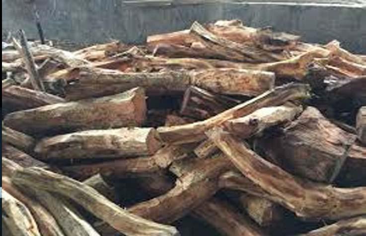 Vehicle loaded with illegal Khair Stumps, Twigs seized at Jandyal