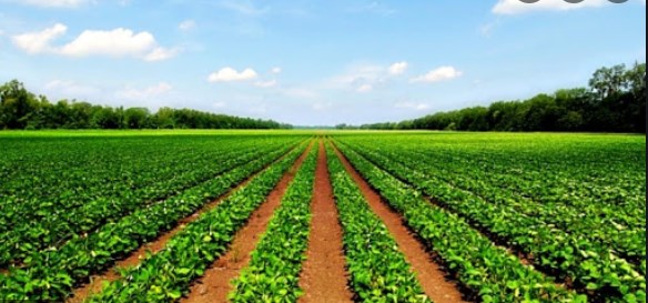 JK Agriculture Production & Farmers Welfare Deptt signs MoU with BSE E-Agricultural Markets