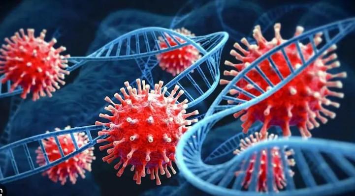 On Covid-19 cases in India, experts say: 'Rise not a worry, no new variant or severe illness seen'