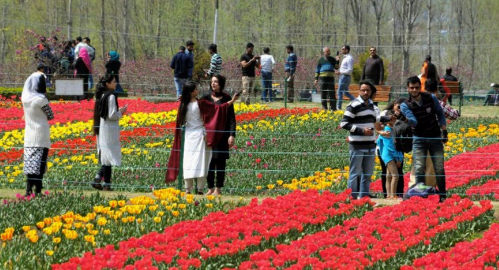 Srinagar tulip garden to open on March 20
