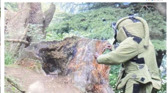 Army foils terror bid, detects explosive material hidden in village near Kupwara