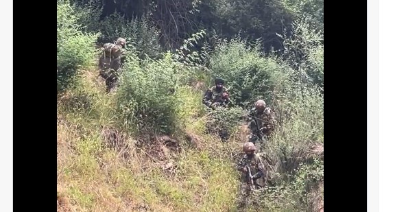 J&K: Terrorist killed by security forces as gunfight rages in Doda