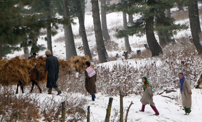 Nine properties of Kashmiri Pandits in Kashmir restored to original owners: Govt