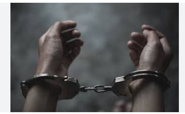 2 Militant associates of LeT arrested In J&K’s Shopian IED recovered
