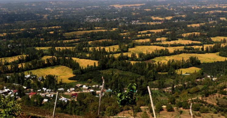 Transforming J&K; New Land Laws foster industrialization, revamp agriculture sector in J&K