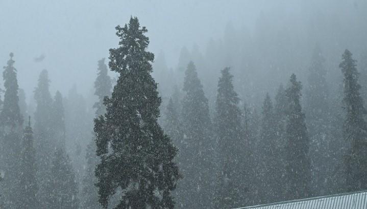 Fresh snowfall in higher reaches of Kashmir, rain lashes plains