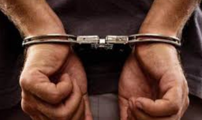 Suspected terrorist arrested in Shopian