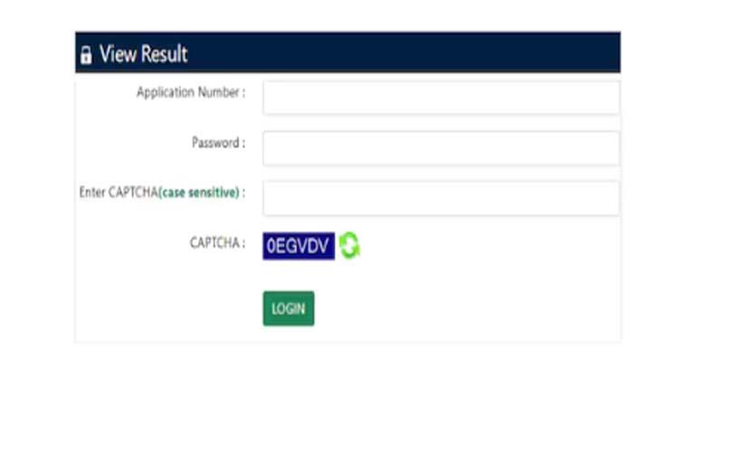 JEE Mains Result 2025 out: Check top 14 scorers, 1 female in top ranks