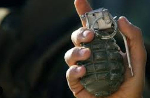Rusted landmine, two grenades destroyed in J-K’s Poonch
