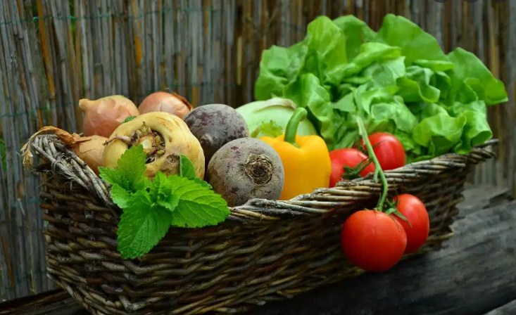 17% of food production globally wasted, UN report estimates