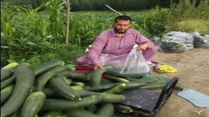 Vegetable grower of Maloora Srinagar becomes job provider from job seeker