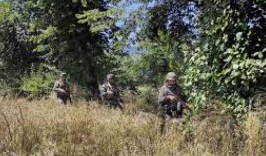 Recovered hand grenades destroyed in Mendhar