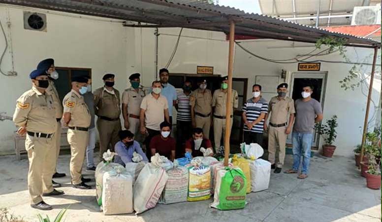 Three arrested, over 300 kg marijuana seized in Himachal