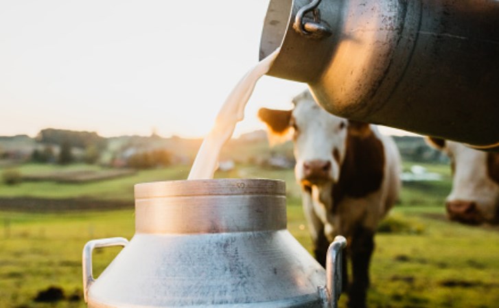 Dairy farming receives reformative interventions like IDDS, DEDS to boost dairy development across J&K