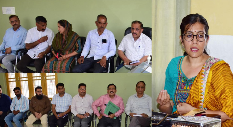 DC Jammu conducts extensive tour of Khour, Kharaballi, listens to public grievances