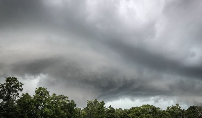 Cloudy weather with chances of showers at some places over J&K: MeT