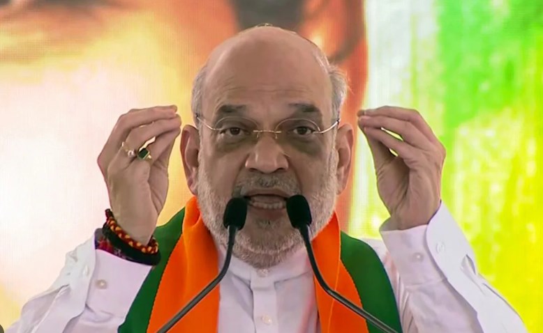 No Family Member of Terrorists, Stone Pelters Will Get Government Job: Amit Shah