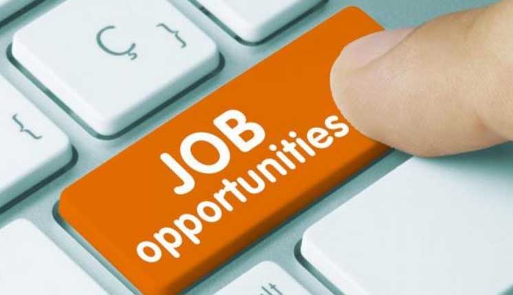 More than 19000 posts of various departments advertised by JKSSB in recent months