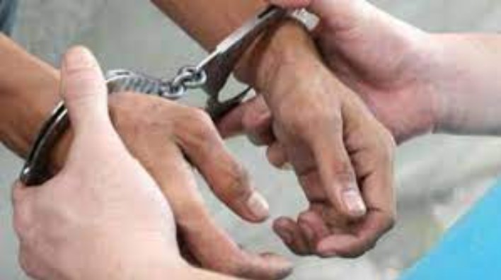 Two Criminals booked under PSA in Kathua