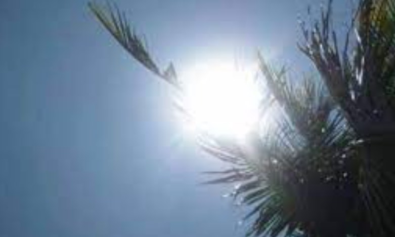 MeT forecasts 'hot and dry' weather this week except Mar 23,24 in J&K