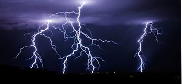 Lightning kills 220 sheep, goats in central Kashmir's Ganderbal