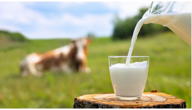 Milk production expected to reach 45 Lakh MTs in J&K next 5 Yrs: Atal Dulloo