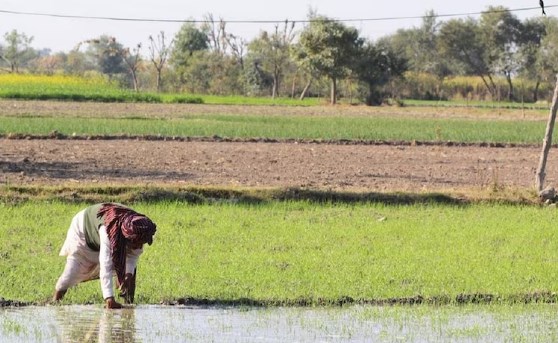 Kisan Sampark Abhiyan: 1.5 lakh farmers participate across J&K; 1367 panchayats covered in five weeks