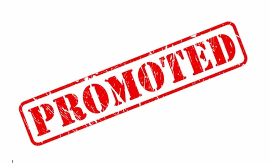 2 SEs promoted, posted in Jal Shakti Department