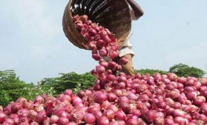 As Onion prices shoot to Rs.60, Government prohibits exports until further notice 