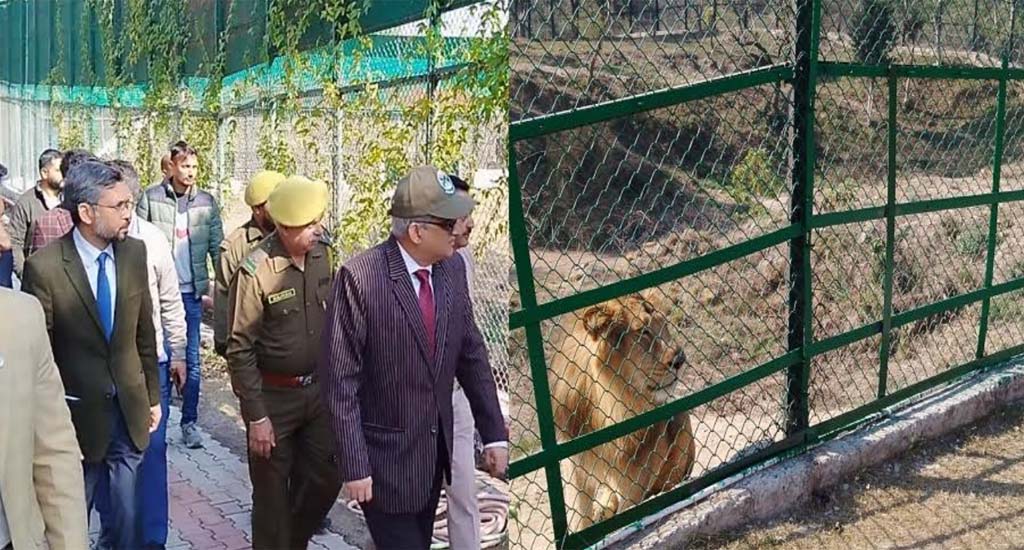 CS for developing Jambu Zoo at par with international standards