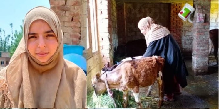 Transforming J&K: Changing contours of J&K’s rural economy through Dairy Sector